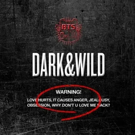 BTS - DARK&WILD